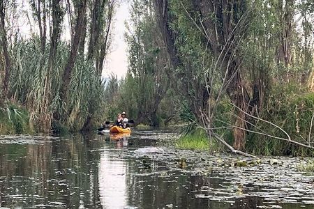 3 Hours of Kayaking at the Ancient Canals of Xochimilco