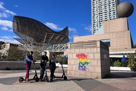 Guided Electric Scooter Tour in Barcelona