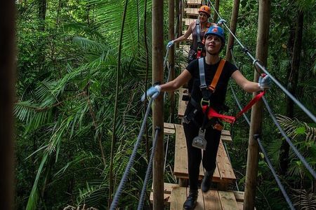 Ziplining Cape Tribulation with Treetops Adventures