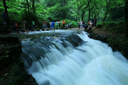 Half-Day Hangzhou Jiuxi Stream and Tea Plantation Experience