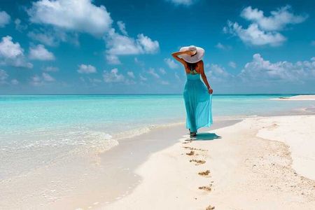 Saona Island Exclusive Beach All Inclusive from Punta Cana 