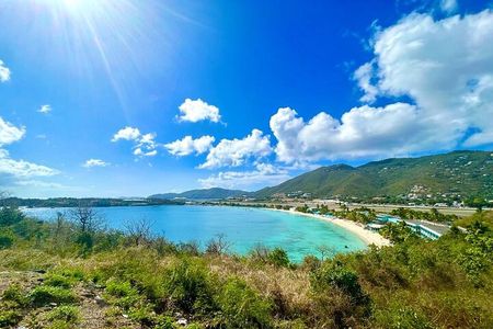 Half-Day Local Experience in St. Thomas