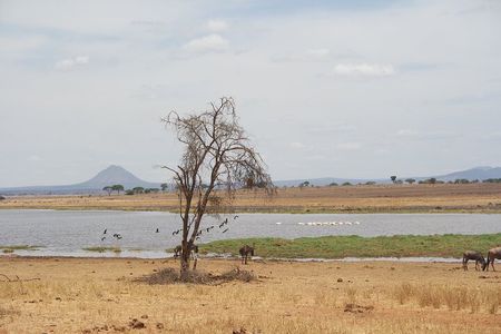 4-Day Shared Safari Tour with Complete Meals