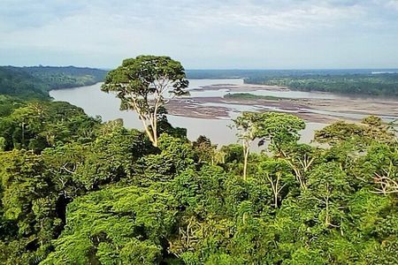 Yasuní and Limoncocha 4-Day Wildlife Adventure