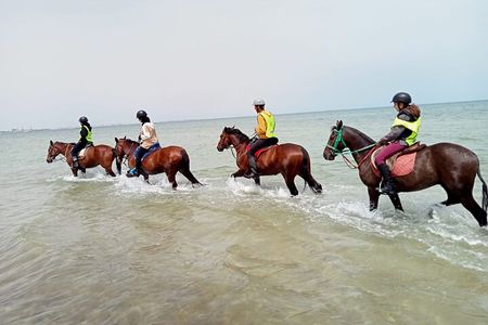 Horseback riding with private transfer