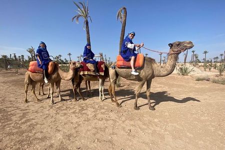 Day trip to Marrakech city from Casablanca