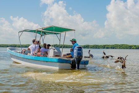Boat Trip to the Biosphere Reserve in Celestún from Mérida