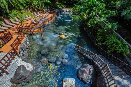 EcoTermales Hot Springs & Arenal Volcano Full Day from San José