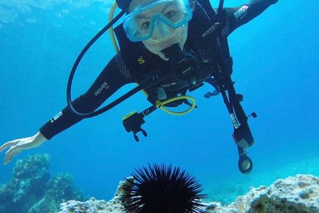 Scuba Diving Experience in Jale Bay Coral Reef