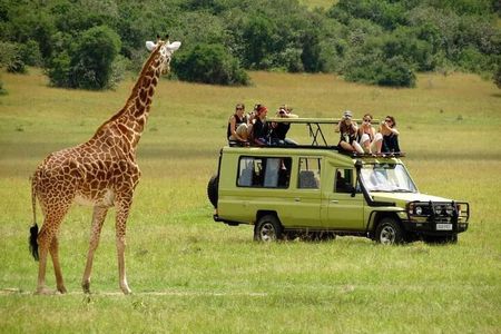 4-Day Majestic Group Tour in Safari