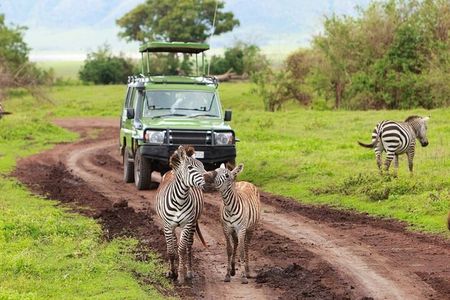 4-Day Northern Tanzania Camping Tour Safari