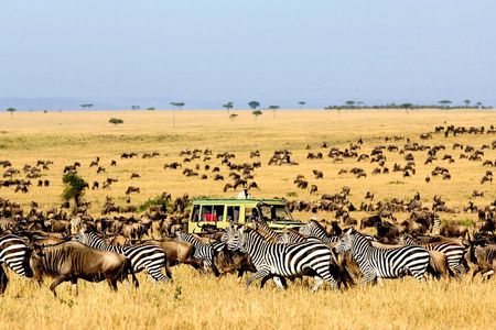 Best Of Six Days Safari Camping safari