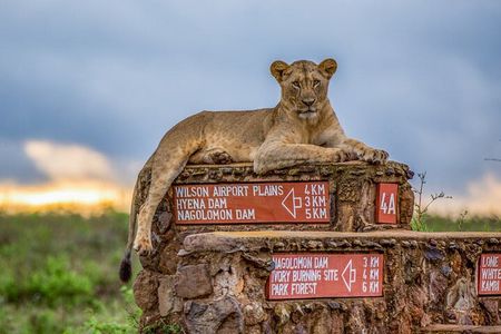 Private Tour to Nairobi National Park and the Karen Blixen Museum