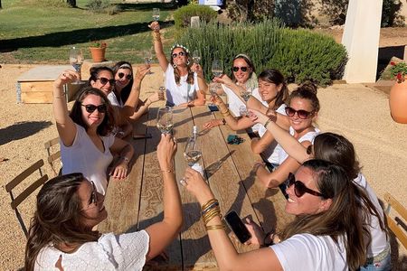 Half day Wine Tour in Côtes de Provence Sainte-Victoire from Aix en Provence