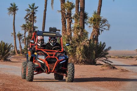 Experience exciting adventures with our Quad tours