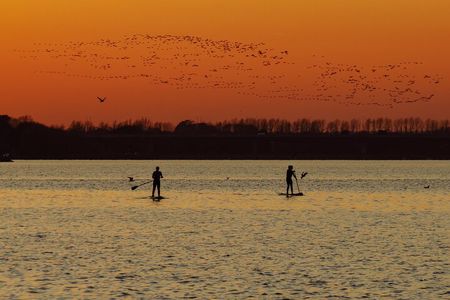 Paddleboarding in Dublin
