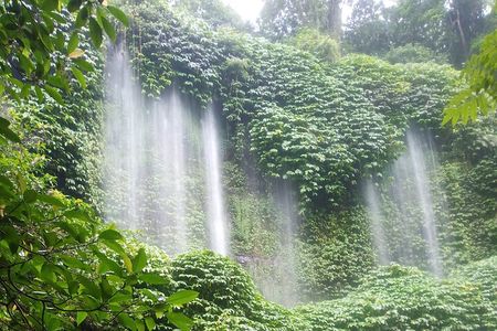 Lombok Guided Tour in Benang Stokel and Kelambu Waterfall Tour 