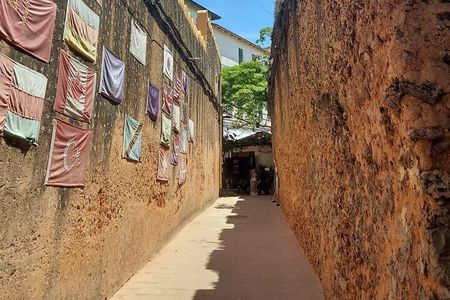 Stone Town Private Walking Tour
