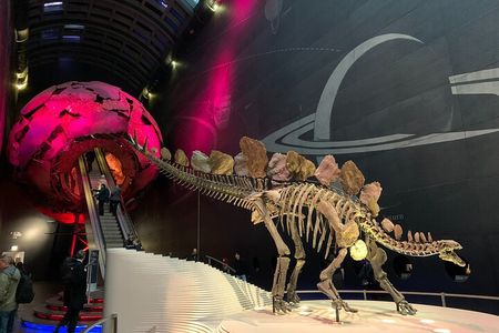 Private Guided Tour of Natural History Museum - Skip the Line