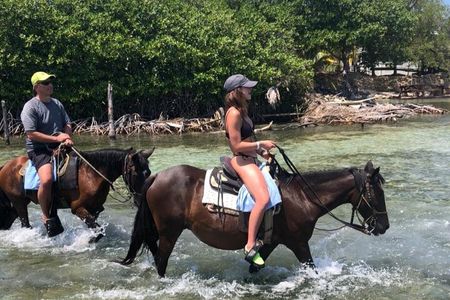 1 HR Horseback riding + Sloths, Island Tour & Beach Break 