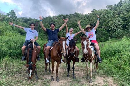 1 HR Horseback riding + Sloths, Island Tour & Beach Break