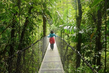Hanging Bridges of Arenal – Guided Nature Walk with Nature