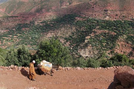 2 Day Private Trekking at Berber villages in Atlas Mountains