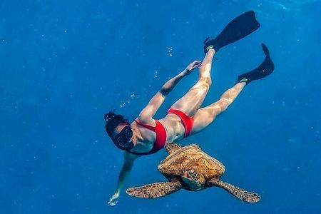 Private Guided Tour Swim with Turtles Rarotonga