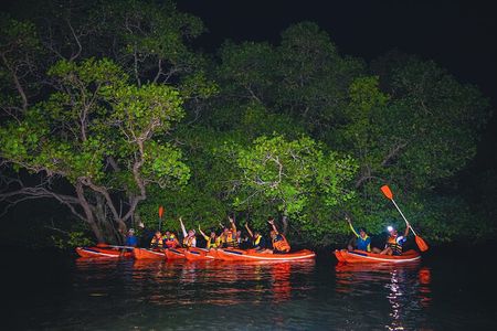 Evening Bali Mangrove Canoe Tour