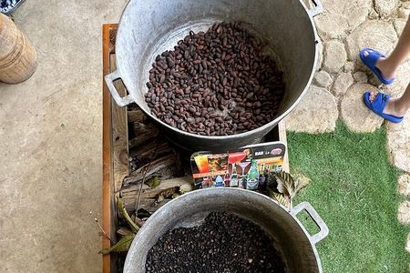 Buggy Adventure Tour with Chocolate and Coffee in Punta Cana