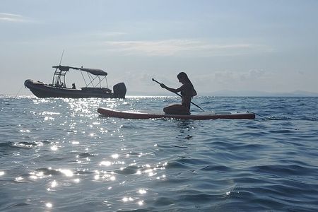 Tortuga Island Private Full-Day Boat Tour