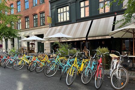 Bike Tour in Wonderful Copenhagen. Small Groups - Local Guides