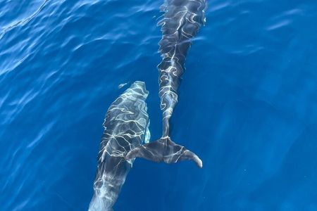 Blue cave tour with a speedboat-small group