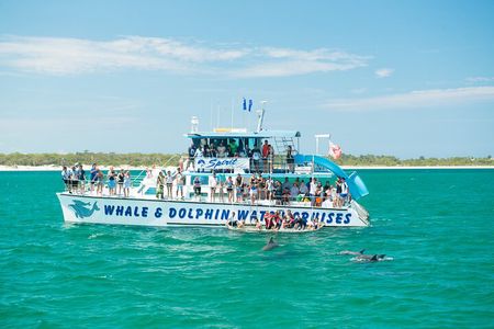 Port Stephens: Splash 'n' Slide Dolphin Cruise