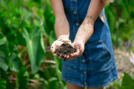 Taste of Hawaii: A Maui Farm Tour