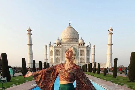 Day Trip to Agra from Delhi Including Taj Mahal and Agra Fort with Lunch