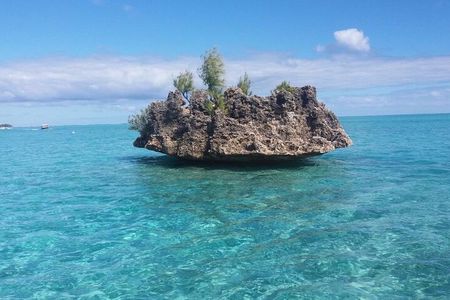 Mauritius : Dolphins Swim and Ile Aux Bénitiers with BBQ