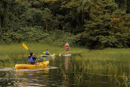 Discover the Beauty of Arenal Lake on a Guided Kayaking Tour