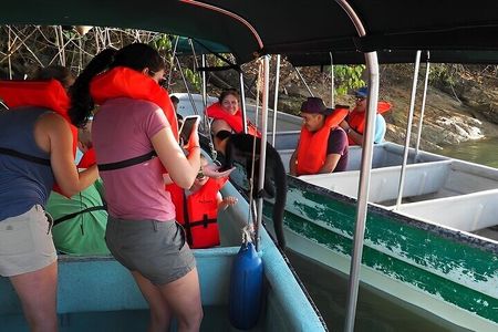 Guided Jungle Adventure with Gatun Lake Cruise