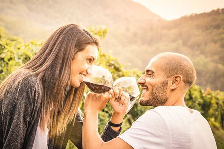 Napa and Sonoma-8-hr Private-Wine Tour from San Francisco XL SUV