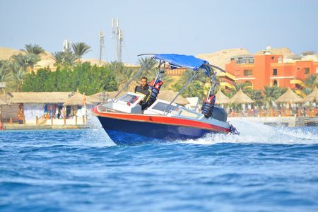 Swimming with Dolphins by Private Speed Boat - Hurghada