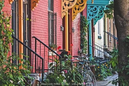 Plateau Mont Royal & The Mile End: Private 2.5-hour Walking Tour