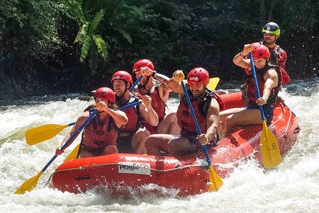 Whitewater Rafting Sarapiqui River Class 3-4 Fortuna to San Jose