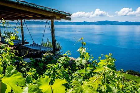 Dubrovnik's Organic Wine Experience with snack