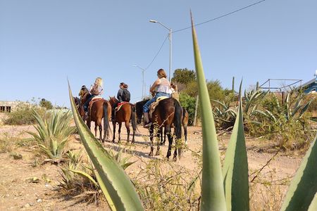 Mexican Equestrian Experience