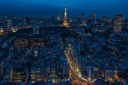 Private Amazing Tokyo Night Tour with English Speaking Driver 