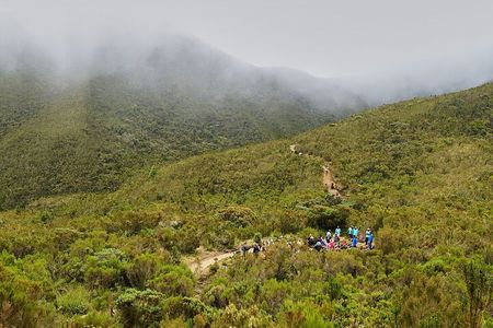 8 Days Kilimanjaro Climb Private Tour - Lemosho Route