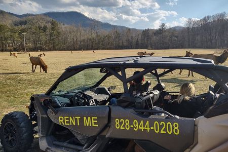 (4 HR) UTV ECO Elk Wilderness Adventure 