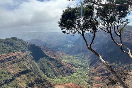 Private Kauai Highlights- Featuring Waimea Canyon 