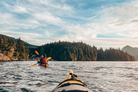 Vancouver Island: Half-Day Kayak Tour from Telegraph Cove